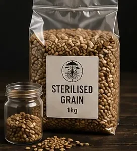 Hydrated and Sterilised Grain ready for inoculation
